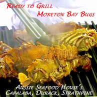 Bugs Raw Moreton Bay Xx Large Capalaba Aussie Seafood House
