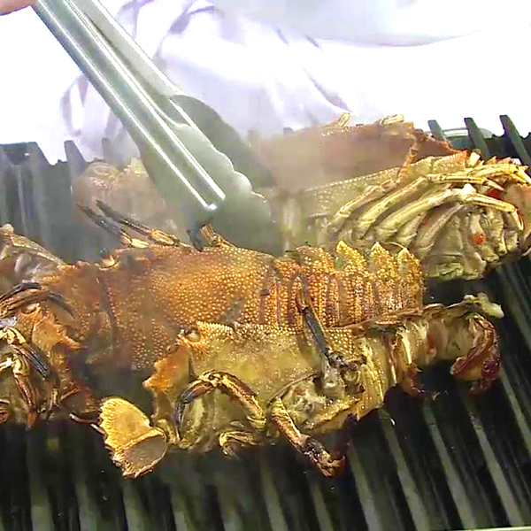 Bugs Raw Moreton Bay Fresh Capalaba Aussie Seafood House