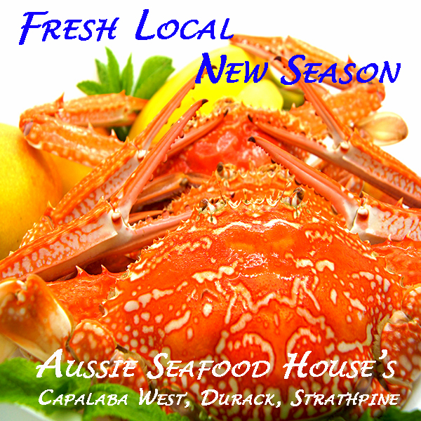 Cooked Sand Crabs Fresh Capalaba Aussie Seafood House