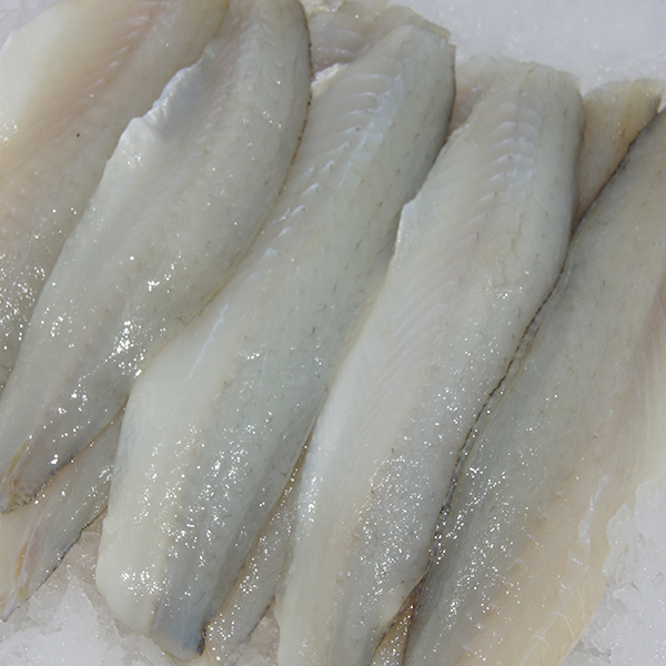 fresh whiting fish near me