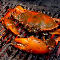 Mud Crabs A Grade Fresh Cooked - Capalaba Aussie Seafood House