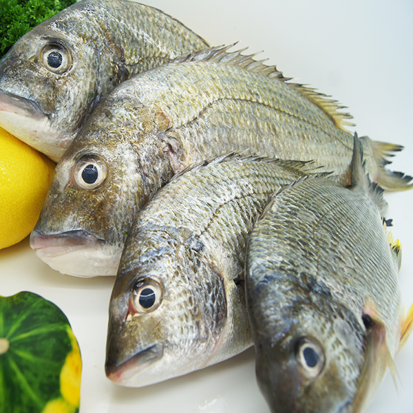 Silver Bream Local Wild Caught $13.99 kg - Capalaba Aussie Seafood House